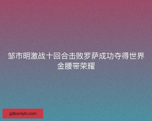 邹市明激战十回合击败罗萨成功夺得世界金腰带荣耀